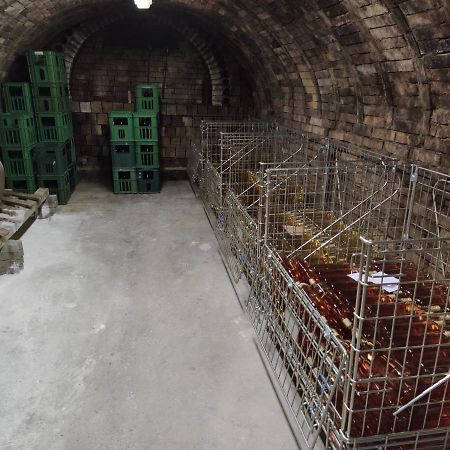 Ubytovani Na Sklepe U Spacira Velké Pavlovice Exteriör bild